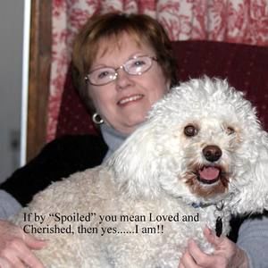 Meet your Posher, Ginger